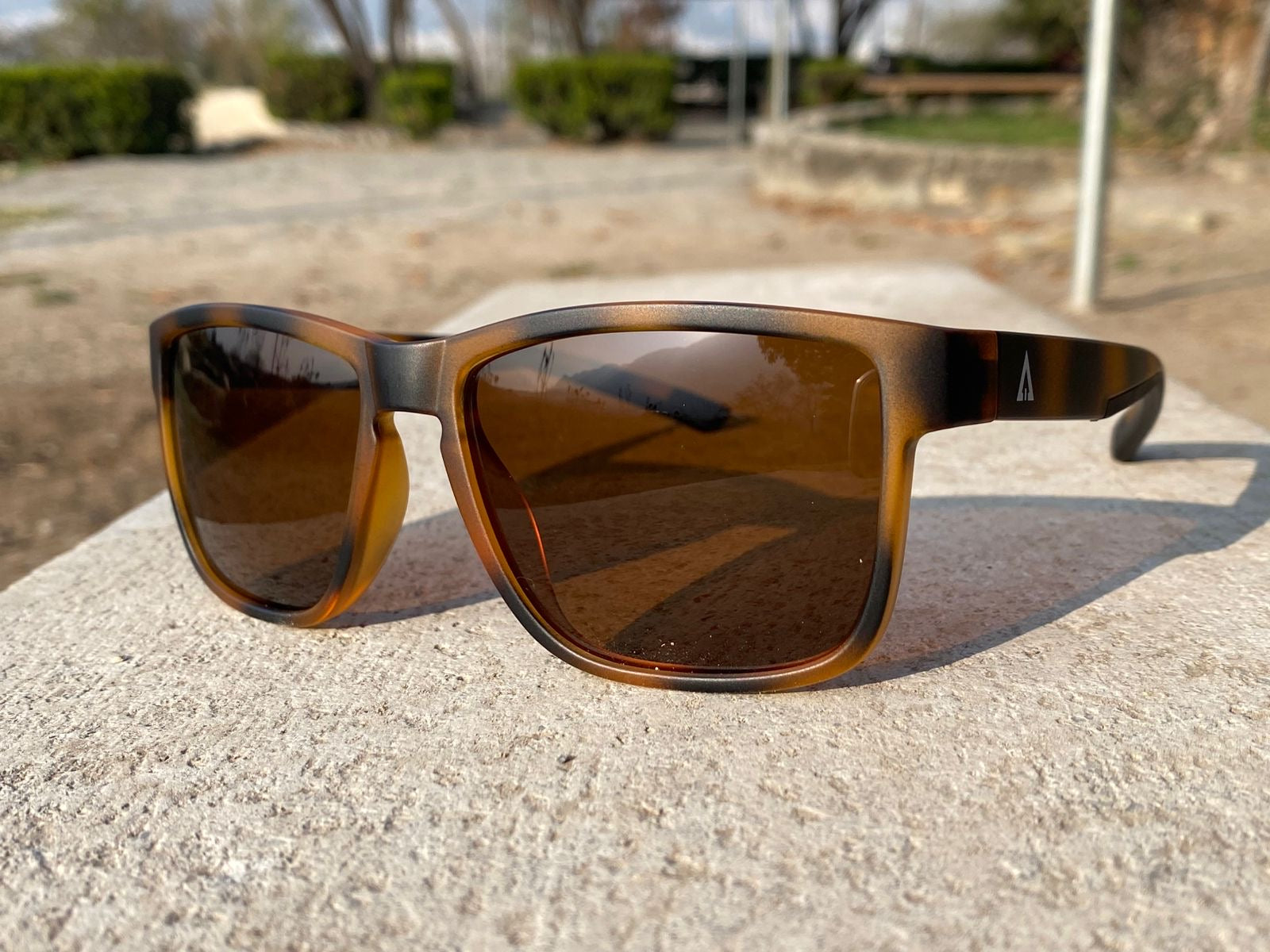 DRACO PAYLE LENTES