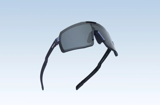 PAYLE LENTES MODELO PEGASUS